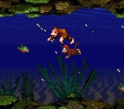 Donkey Kong Country Image