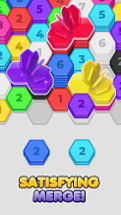 Hex Master: Chip Stack Match Image