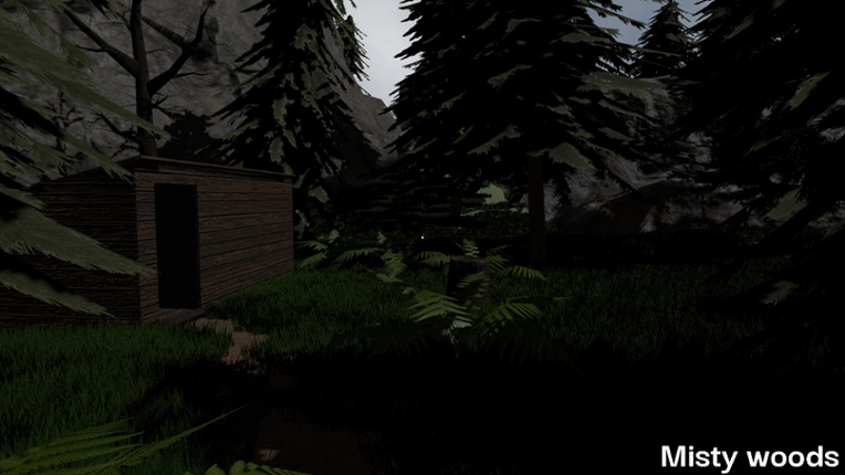 Misty Woods screenshot
