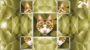 Poly Puzzle: Cats Image