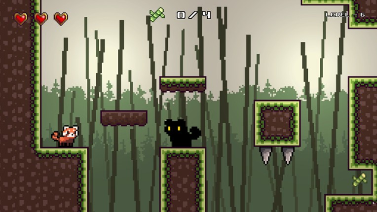 Red Panda is Hungry Image