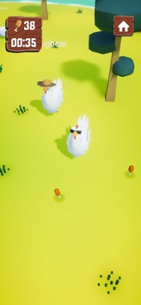 Cast Away Chickens Image