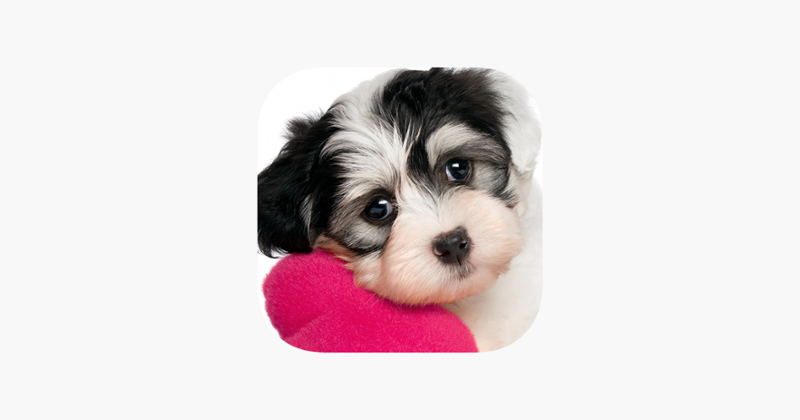 Cute Puppy Jigsaw Puzzle Games Game Cover