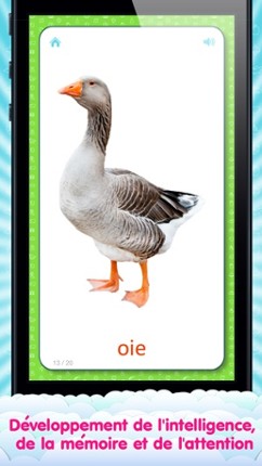 French Flashcards for Kids and logic game «Find a Picture» screenshot