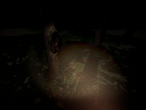 A Path Through The Darkness Image