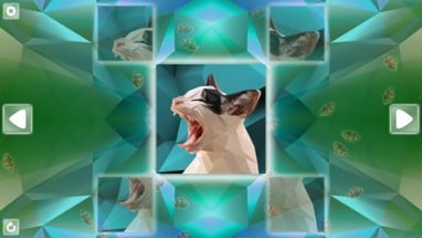 Poly Puzzle: Cats Image