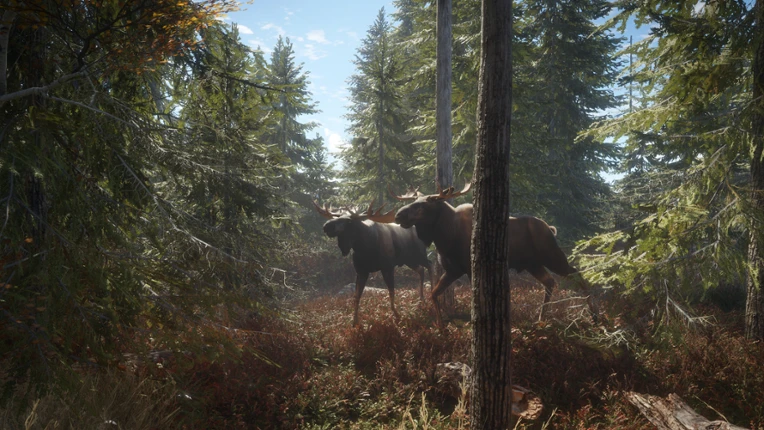 theHunter: Call of the Wild Image