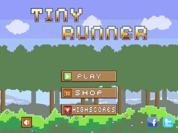 Tiny Runner Image