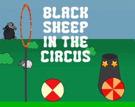 Black Sheep in Circus Image