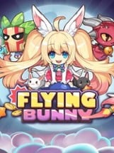 Flying Bunny Image