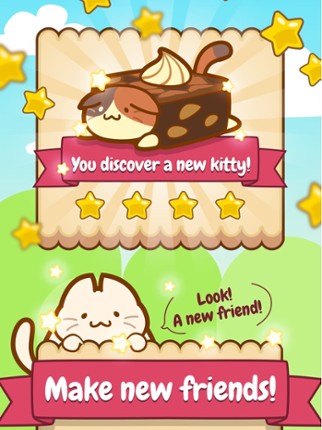 Food Cats Image