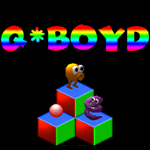 Q*Boyd Image