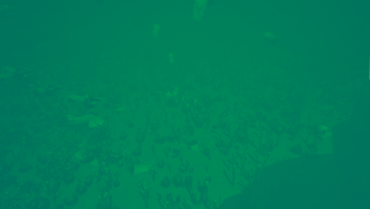 Into The Fishknown Image