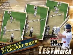 Real Cricket™ Test Match Image