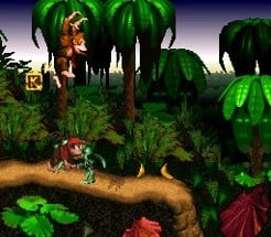 Donkey Kong Country Image