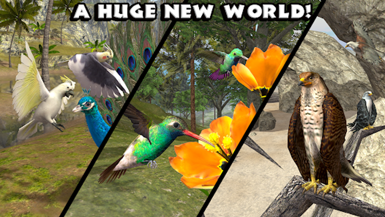 Ultimate Bird Simulator screenshot