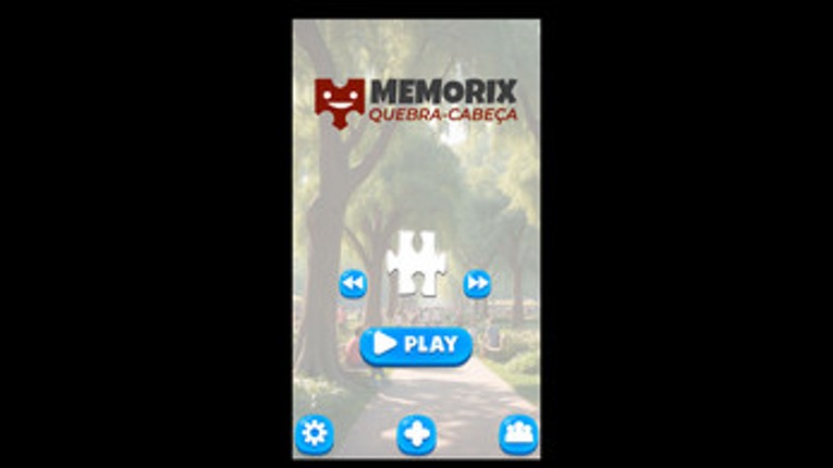 Memorix Puzzle Image