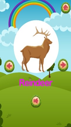 Hi! Animal: Easy vocabulary learning game for kid Image