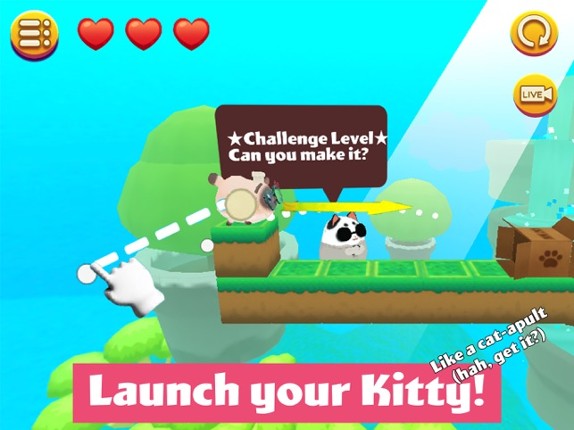 Kitty in the Box 2 Image