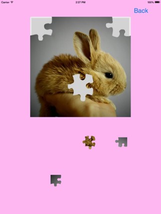 Baby Rabbits Jigsaw Puzzles screenshot