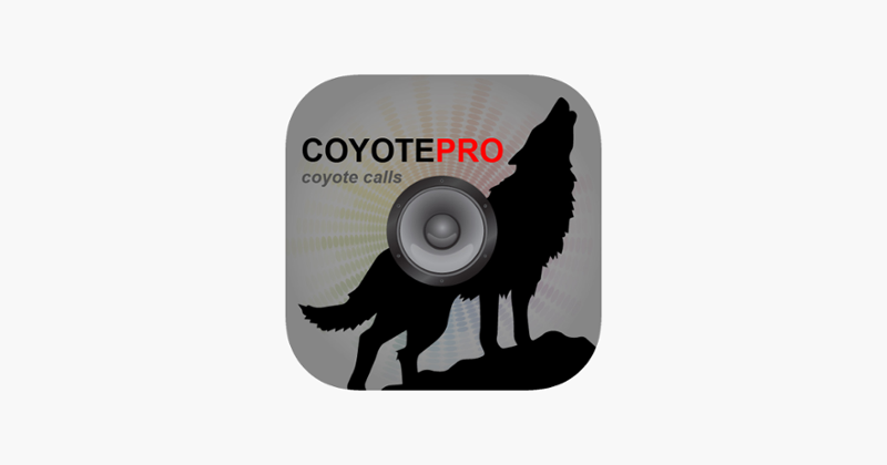 Coyote Calls For Predator Hunting Image