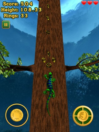 Crazy Lizard - The Amazing Journey screenshot