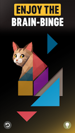 Netflix Puzzled Image