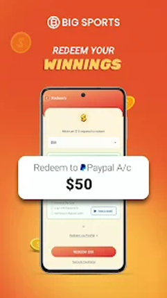 Big Sports screenshot