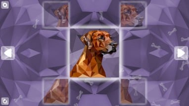 Poly Puzzle: Dogs Image