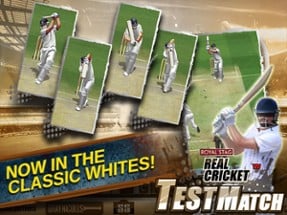 Real Cricket™ Test Match Image