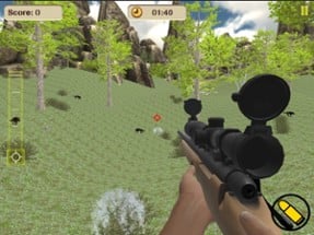 Wolf Hunter Sniper Shooting Image