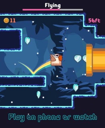 Bird Watch Game: learn to flap screenshot