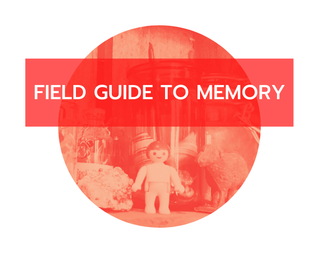 Games like Field Guide To Memory
