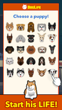 BitLife Dogs – DogLife Image