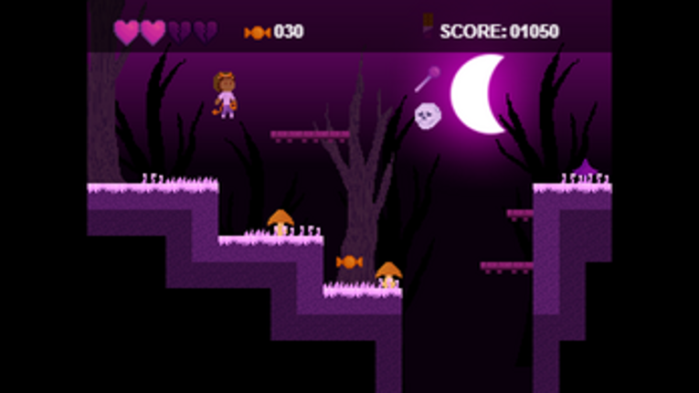 That Witch Stole My Cat! Image