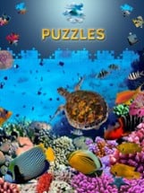 Ocean Jigsaw Puzzles Games for Adults Image