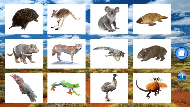 Animals Australia screenshot