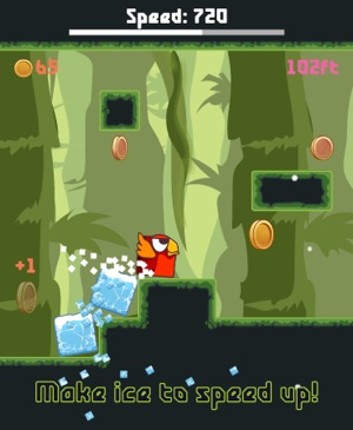 Bird Watch Game: learn to flap screenshot