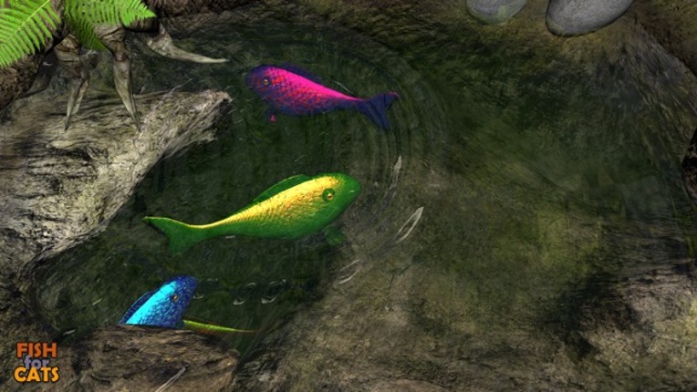 Fish for Cats: 3D fishing game for cats screenshot