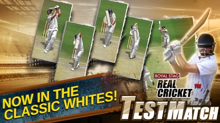 Real Cricket™ Test Match screenshot