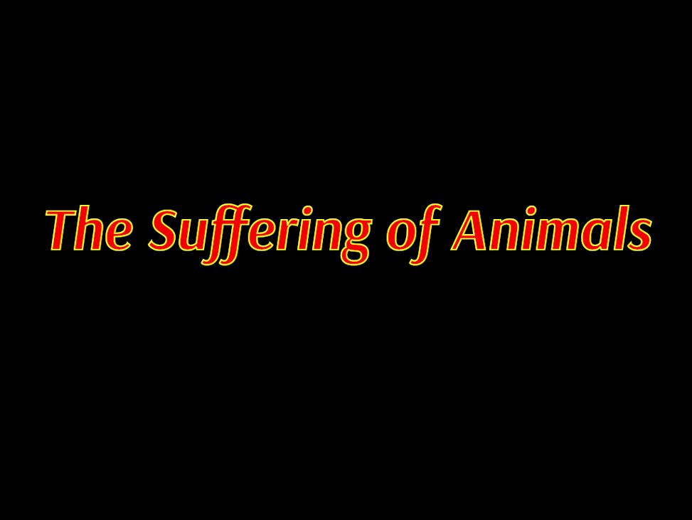 Games like The Suffering of Animals