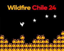 Wildfire Chile 24 Image