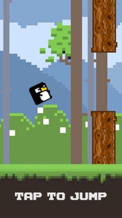 Bird Watch Game Free screenshot