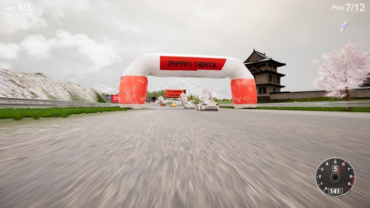 CarSim Racing screenshot