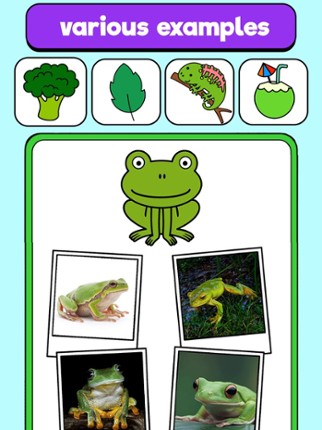 Colors: Learning and Coloring Image