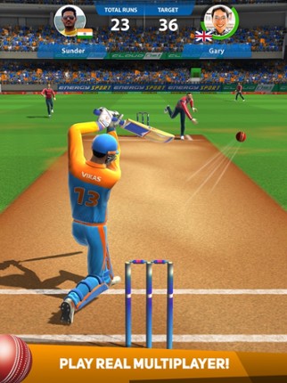 Cricket League Image