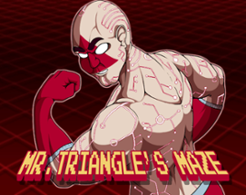 Mr. Triangle's Maze Image