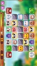 Onet Pet Animal Connect Image