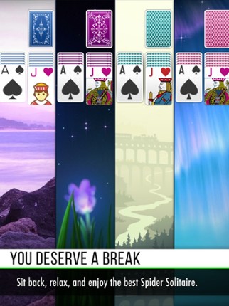 Spider Solitaire ٭ screenshot