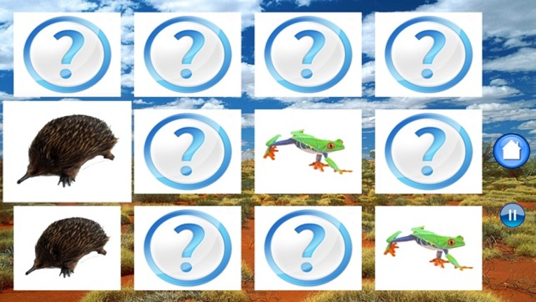 Animals Australia Image